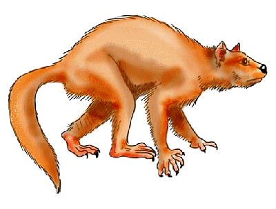 Altiatlasius
